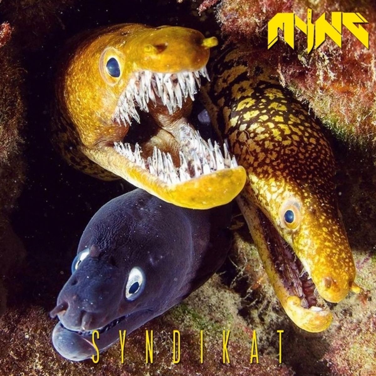 Myng - Syndikat
