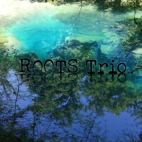 Roots Trio album